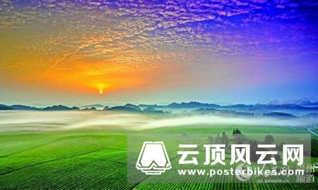 《新时代贵州省茶产业竞争力报告》发布